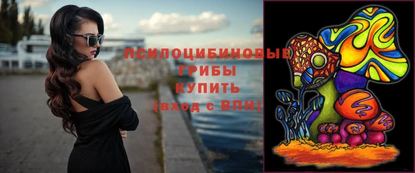дживик Аркадак