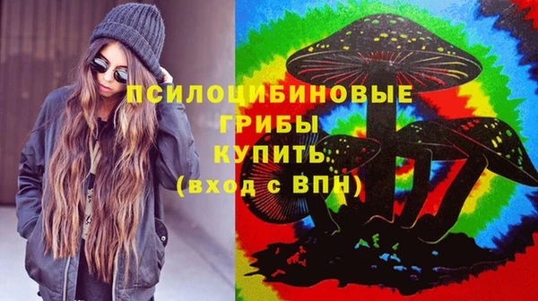 стаф Армянск
