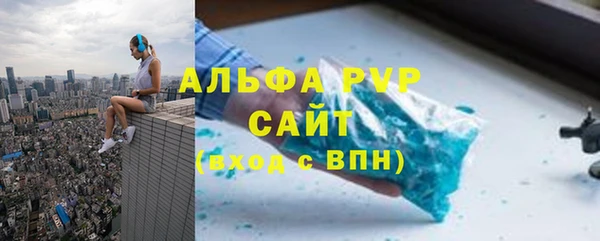 гашик Арсеньев