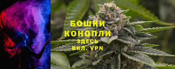 гашик Арсеньев
